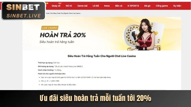 Hình ảnh đại diện cho các khuyến mãi và ưu đãi độc quyền của sb365 casino